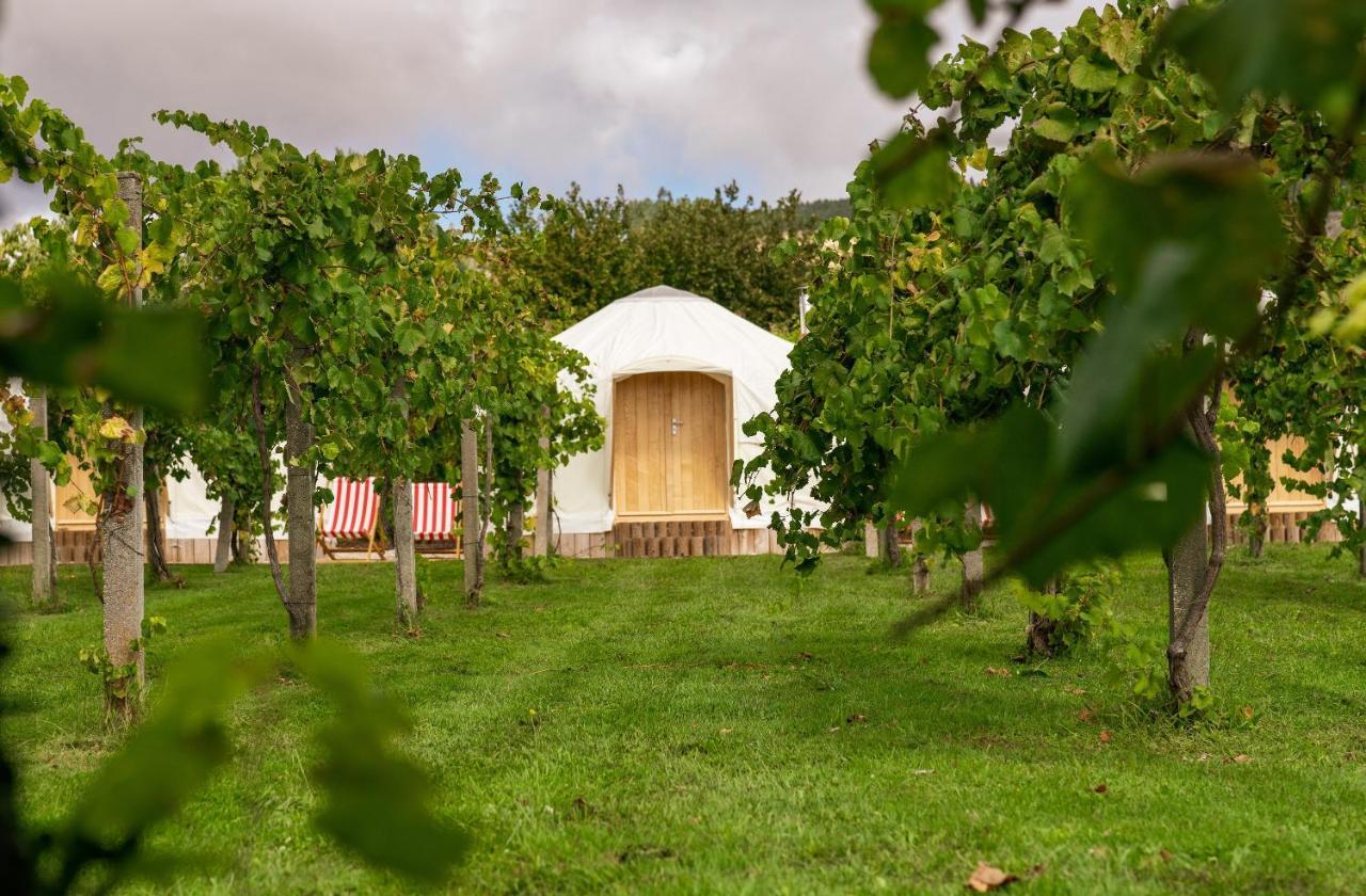 Vedra Casa Beatnik Hotel מראה חיצוני תמונה